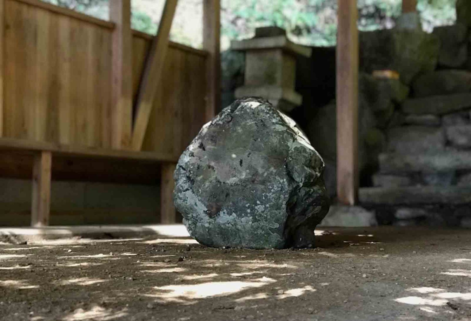 橋本次郎 生えてきた芸術祭 みかのはら〜と 