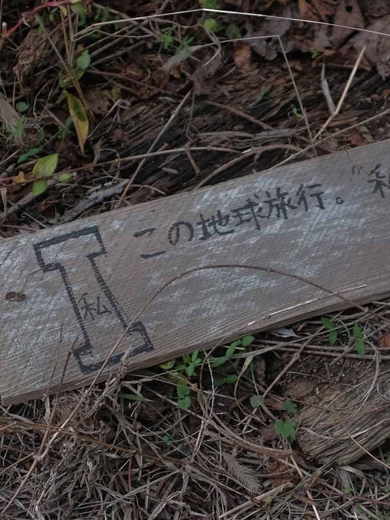 タニフ徳子 Tanif Noriko I am 穴 Hole, am I ?