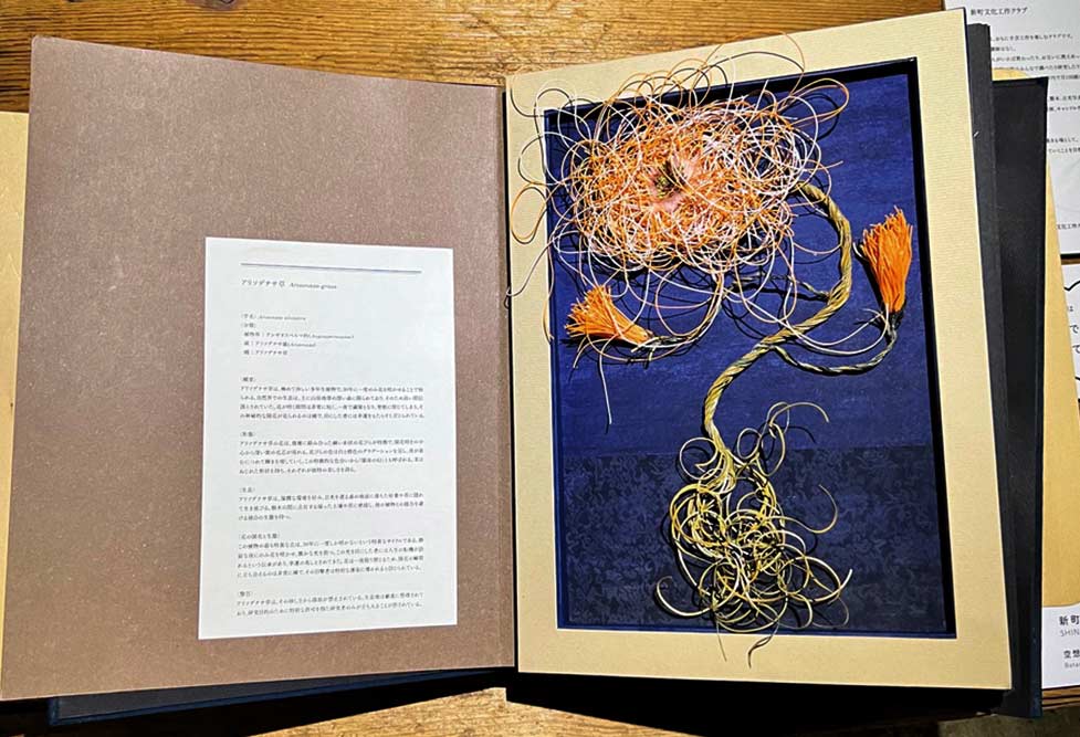 新町文化工作 クラブ SHINMACHI art & craft club 空想植物図譜 Botanical pictorial book