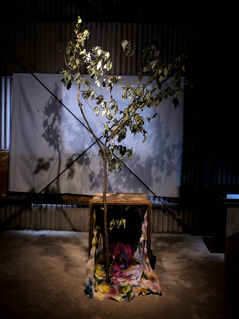 髭愛 Megumi Hige 内側の世界 An innner world