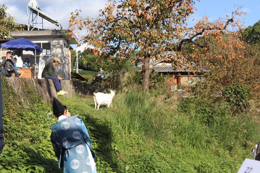 みかのはら〜と やぎの写真をとる雅楽の人
鑑賞者